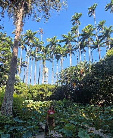 New Year in Rio gallery image 5